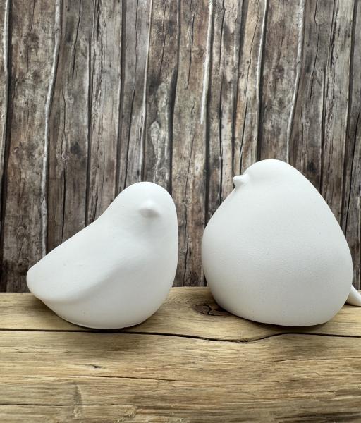 Vögel
